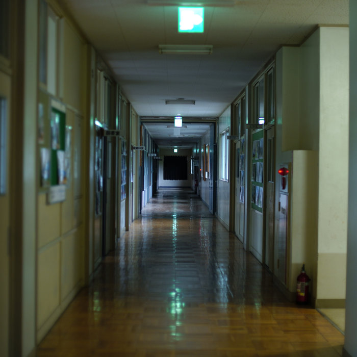 RingNe 記録写真